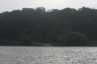 Kali River Dandeli